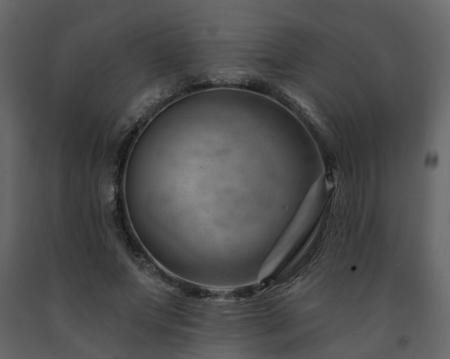 X0000091690687200708231440