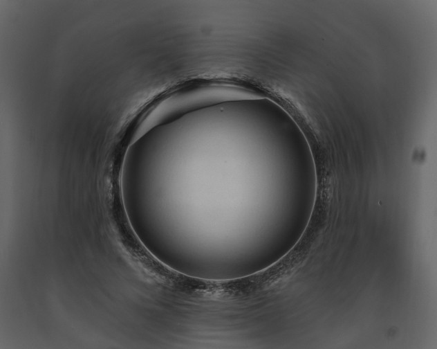 X0000091690688200708231440