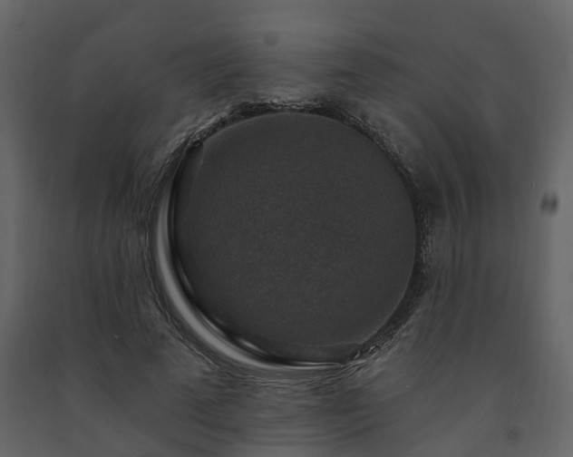 X0000091690689200708231440