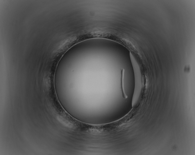 X0000091690690200708231440