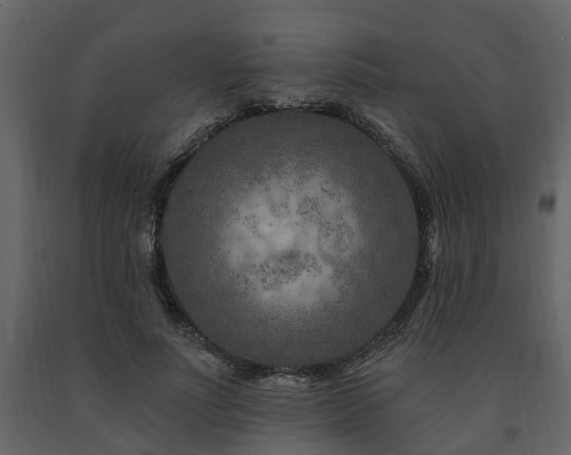X0000091690691200708231440