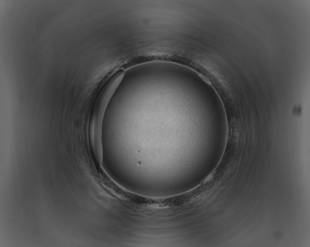 X0000091690692200708231440