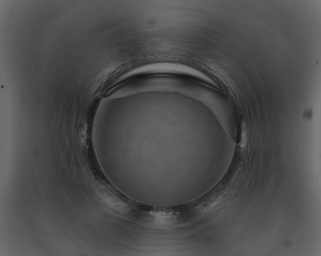 X0000091690693200708231440