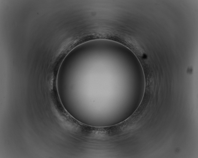 X0000091690694200708231440