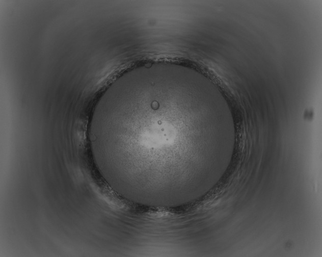 X0000091690695200708231440