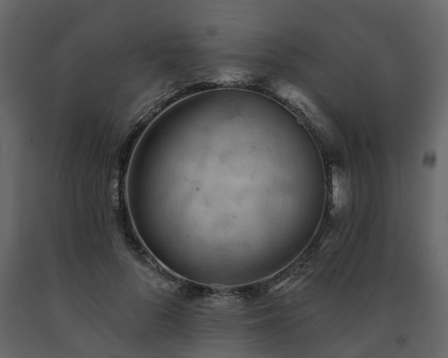 X0000091690696200708231440