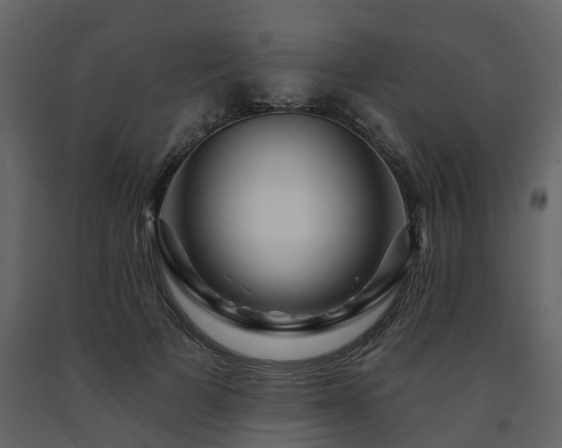 X0000091690697200708231440