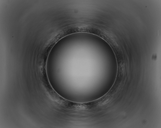 X0000091690698200708231440