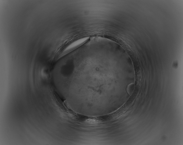 X0000091690699200708231440
