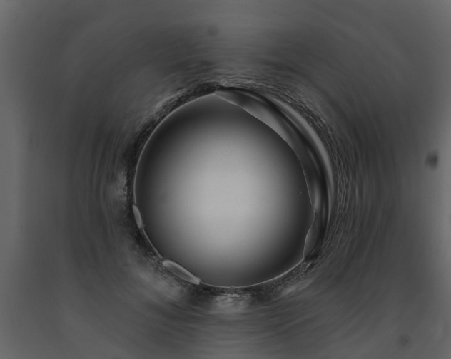X0000091690700200708231440