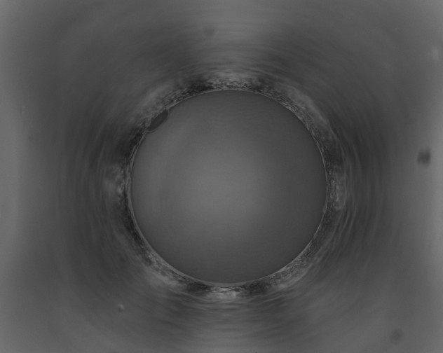 X0000091690701200708231440