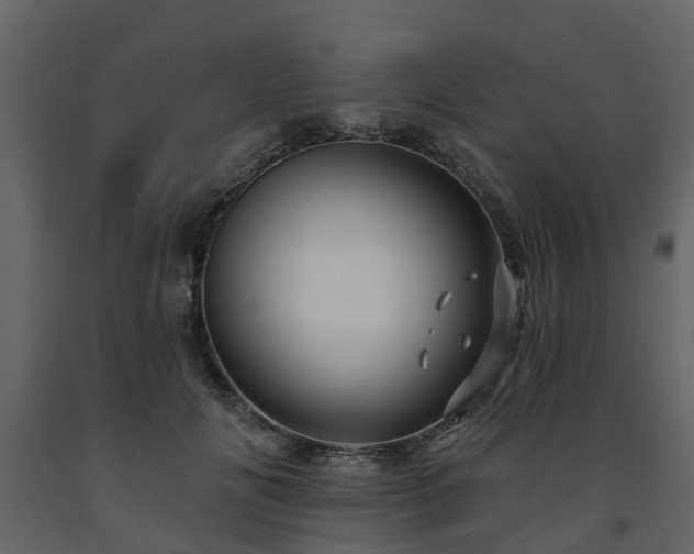 X0000091690702200708231440