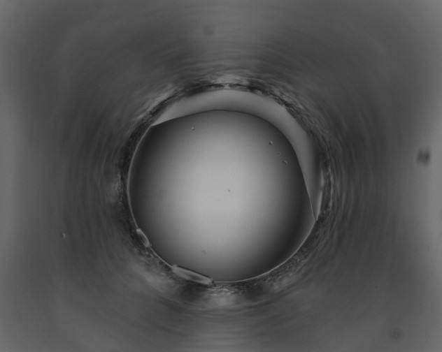 X0000091690704200708231440