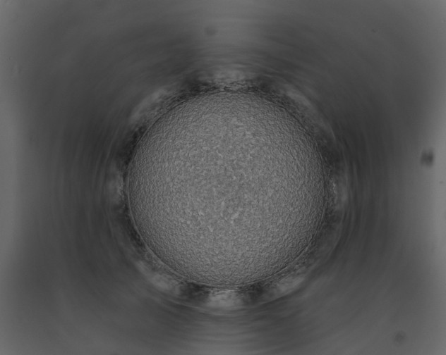 X0000091690705200708231440