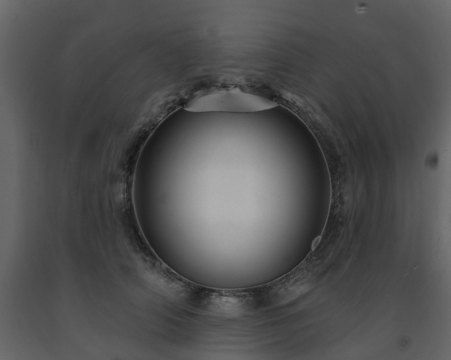 X0000091690706200708231440
