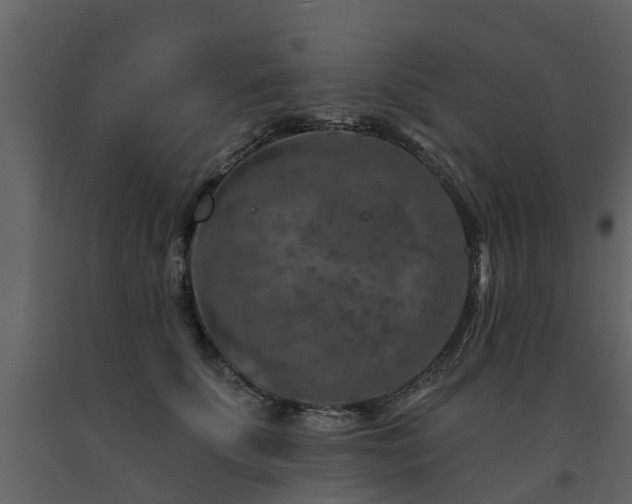 X0000091690707200708231440