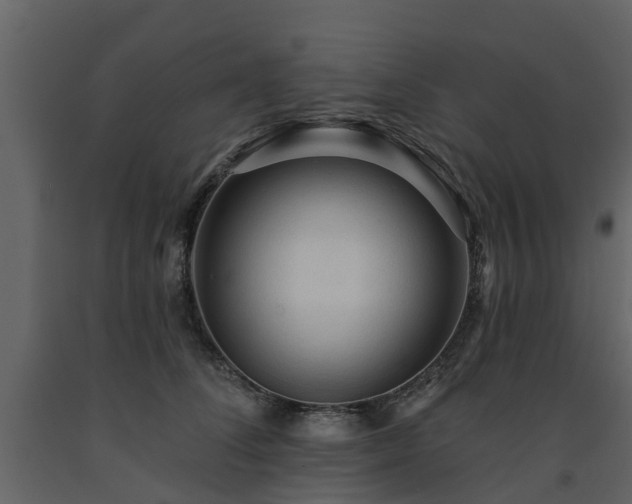 X0000091690708200708231440