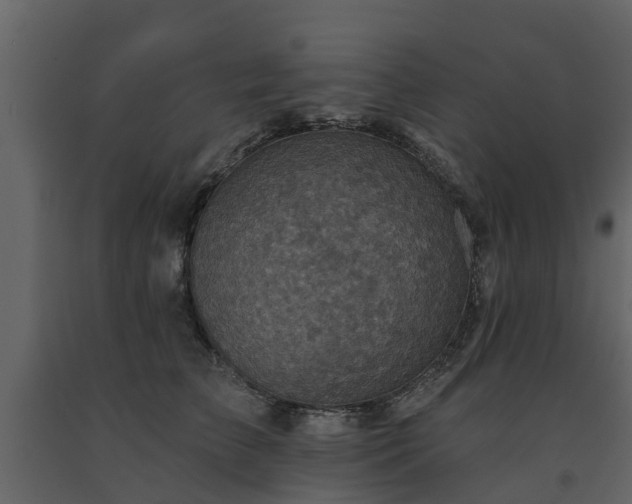 X0000091690709200708231440