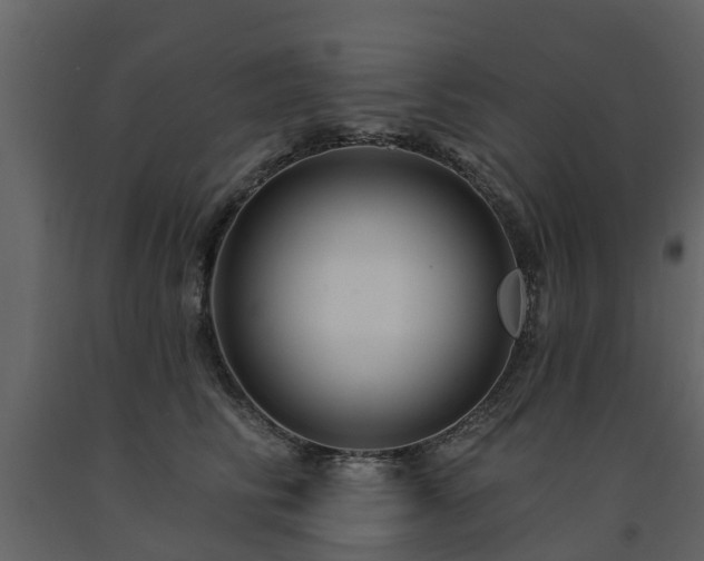 X0000091690710200708231440