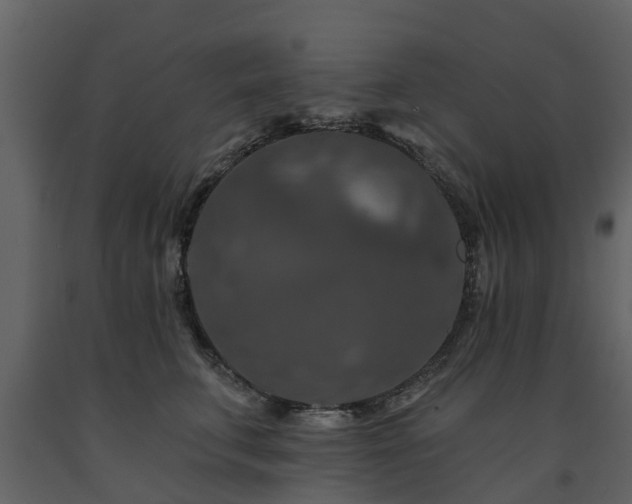 X0000091690711200708231440