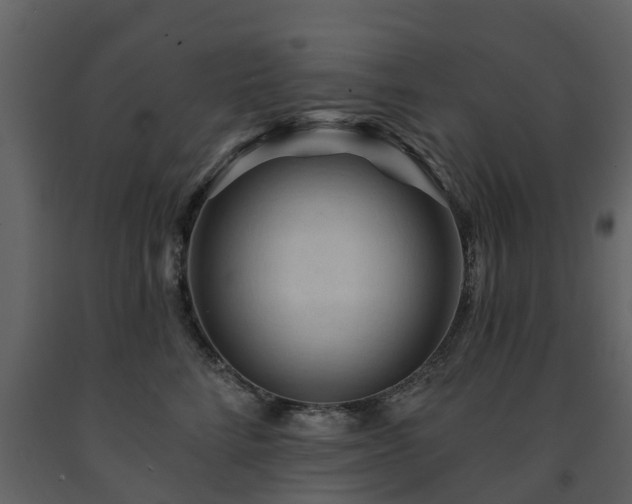 X0000091690712200708231440