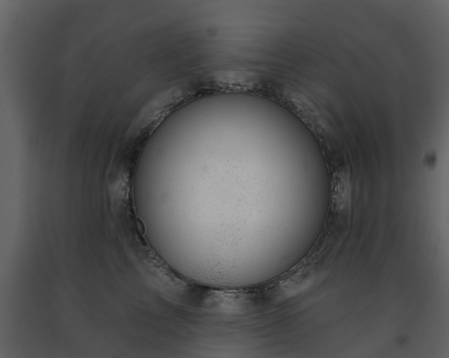 X0000091690713200708231440