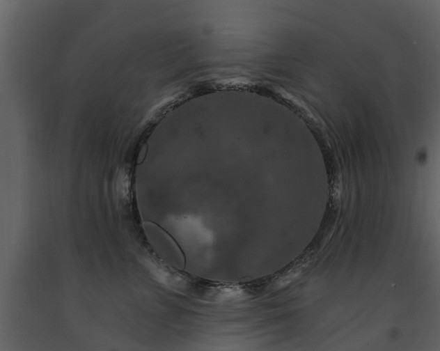 X0000091690715200708231440