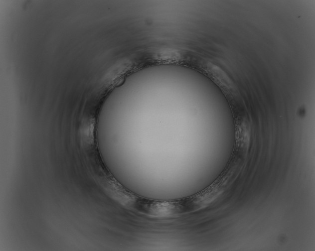 X0000091690717200708231440