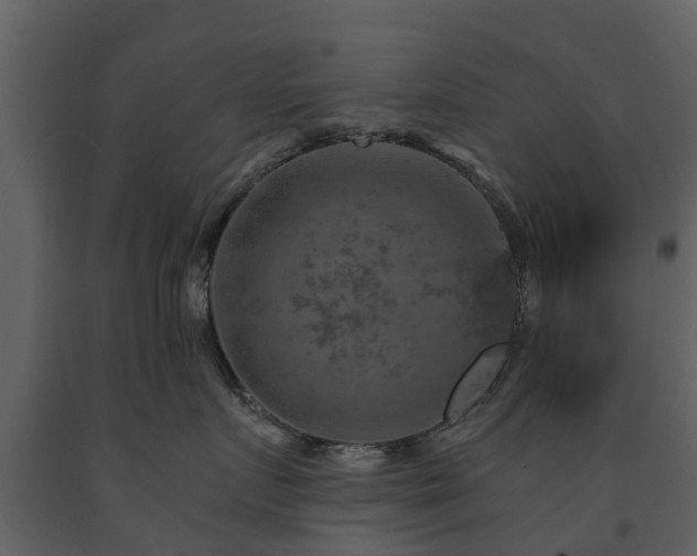X0000091690719200708231440