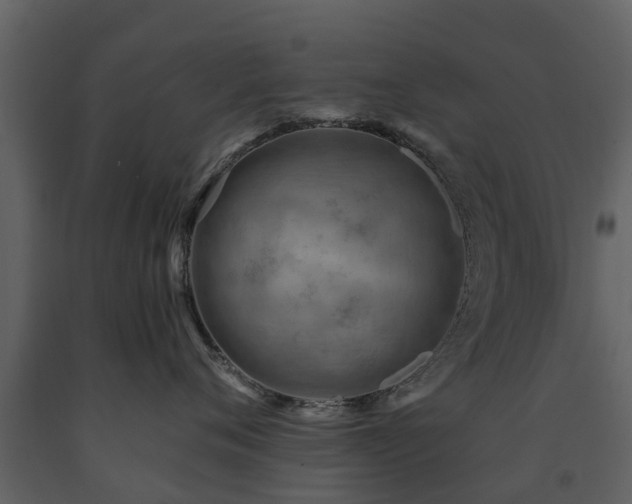 X0000091690720200708231440
