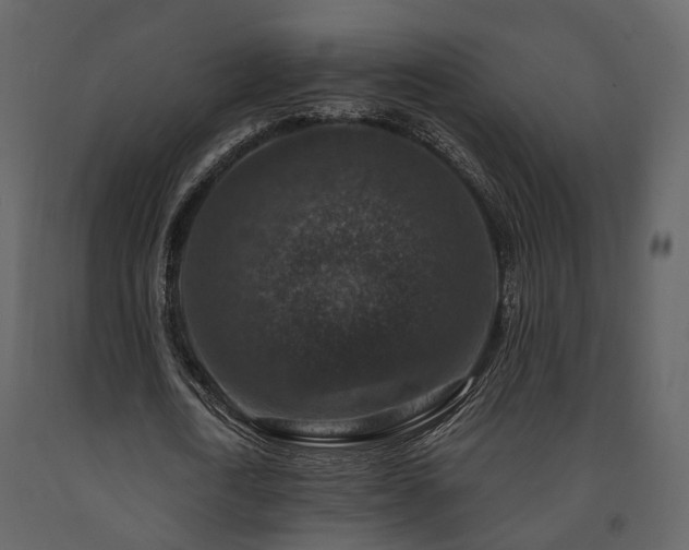 X0000091690722200708231439
