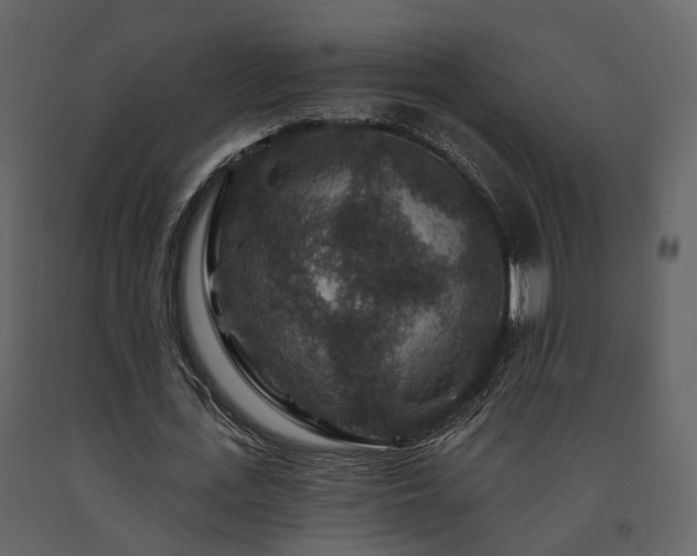 X0000091690723200708231439