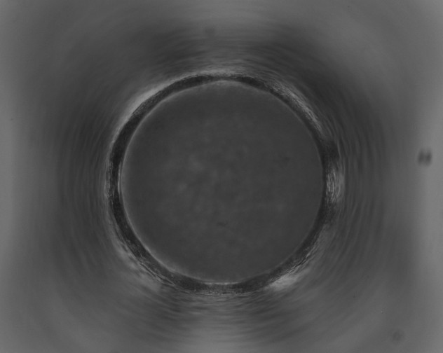 X0000091690724200708231439