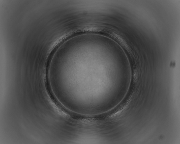 X0000091690725200708231439