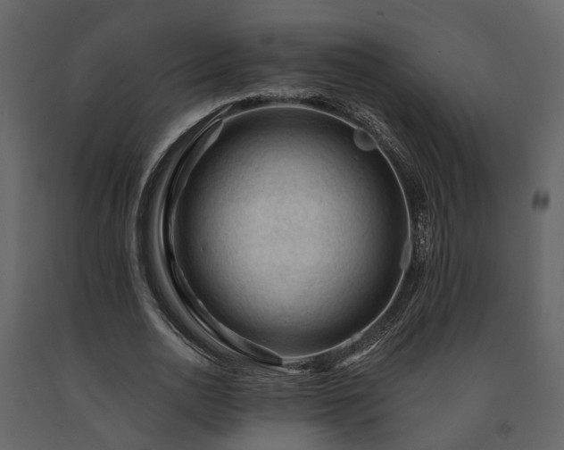 X0000091690726200708231439