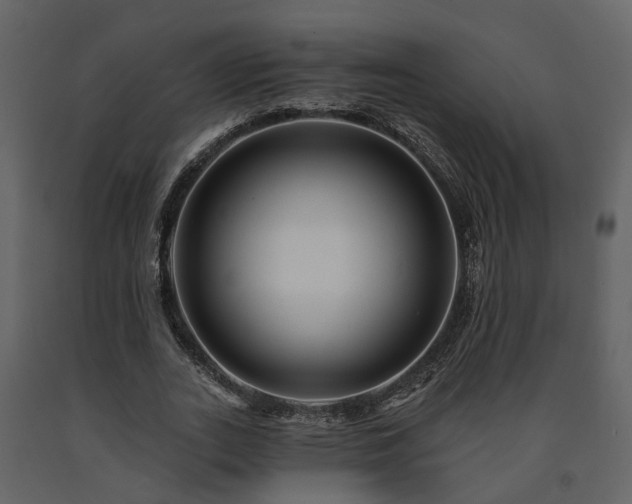 X0000091690727200708231439