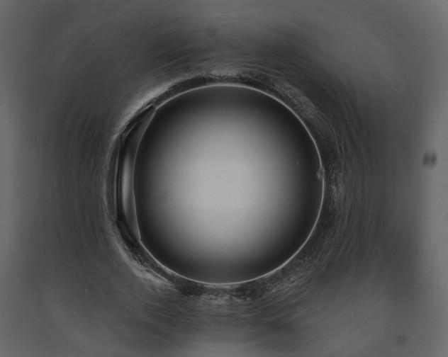 X0000091690728200708231439