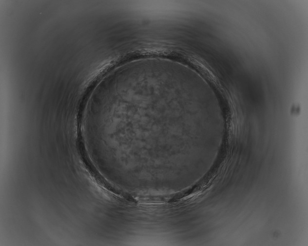 X0000091690729200708231439