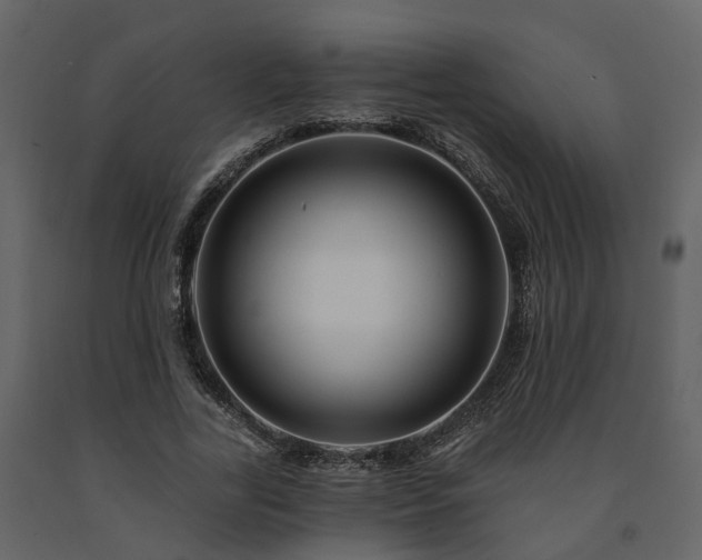X0000091690731200708231439