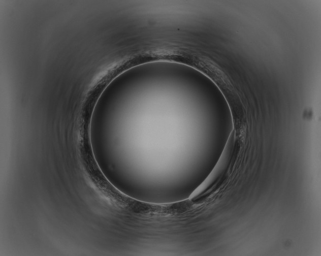X0000091690732200708231439