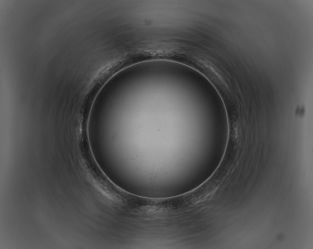 X0000091690733200708231439