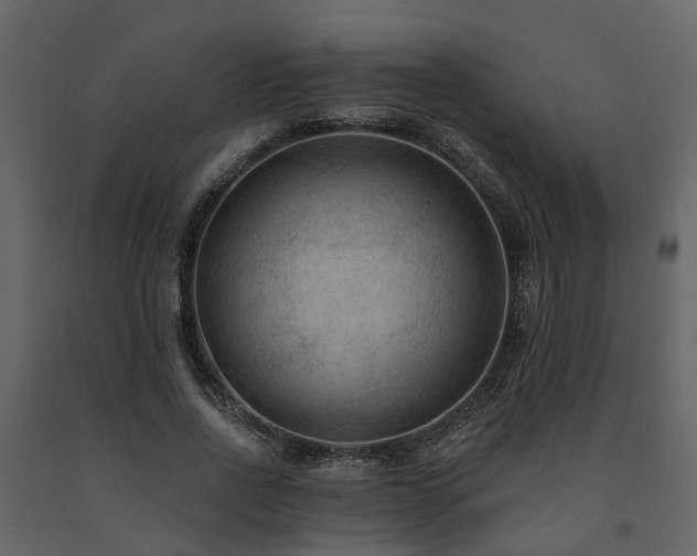 X0000091690734200708231440