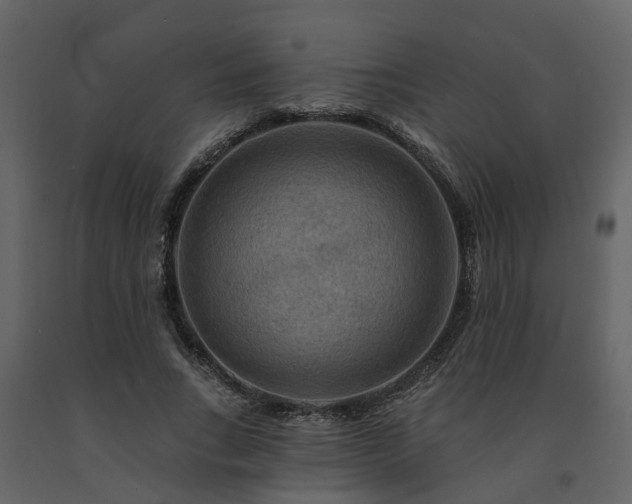 X0000091690735200708231440