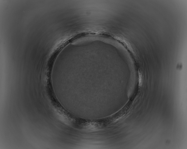 X0000091690736200708231440