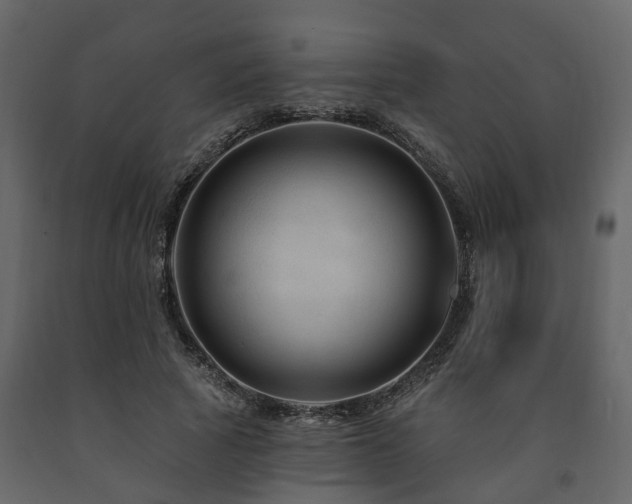 X0000091690737200708231440