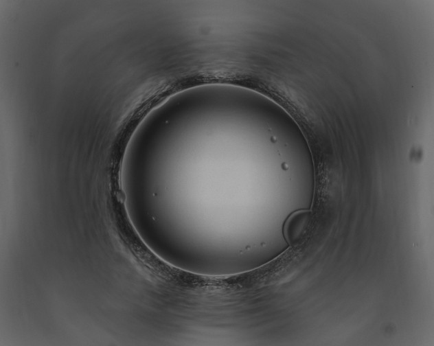 X0000091690738200708231440