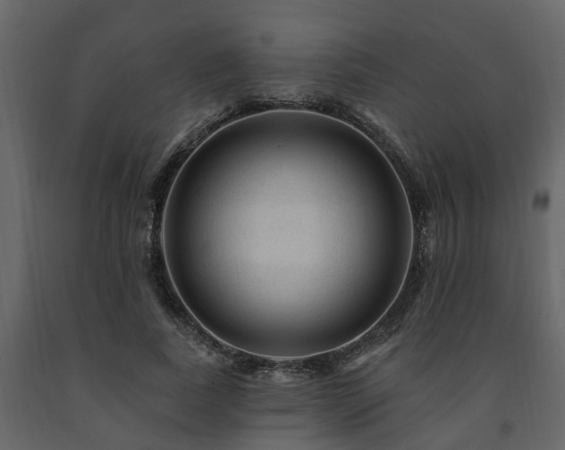 X0000091690739200708231440