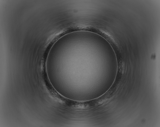 X0000091690740200708231440