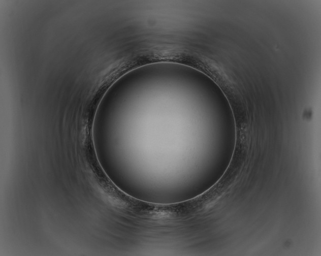 X0000091690741200708231440