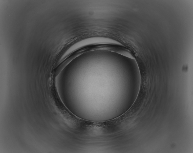 X0000091690743200708231440